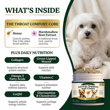 Honey & Root Throat Comfort Chews for Small Dogs