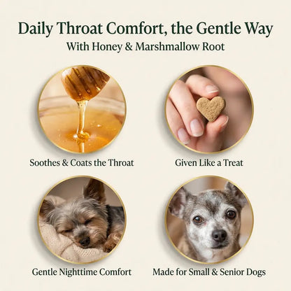 Honey & Root Throat Comfort Chews for Small Dogs